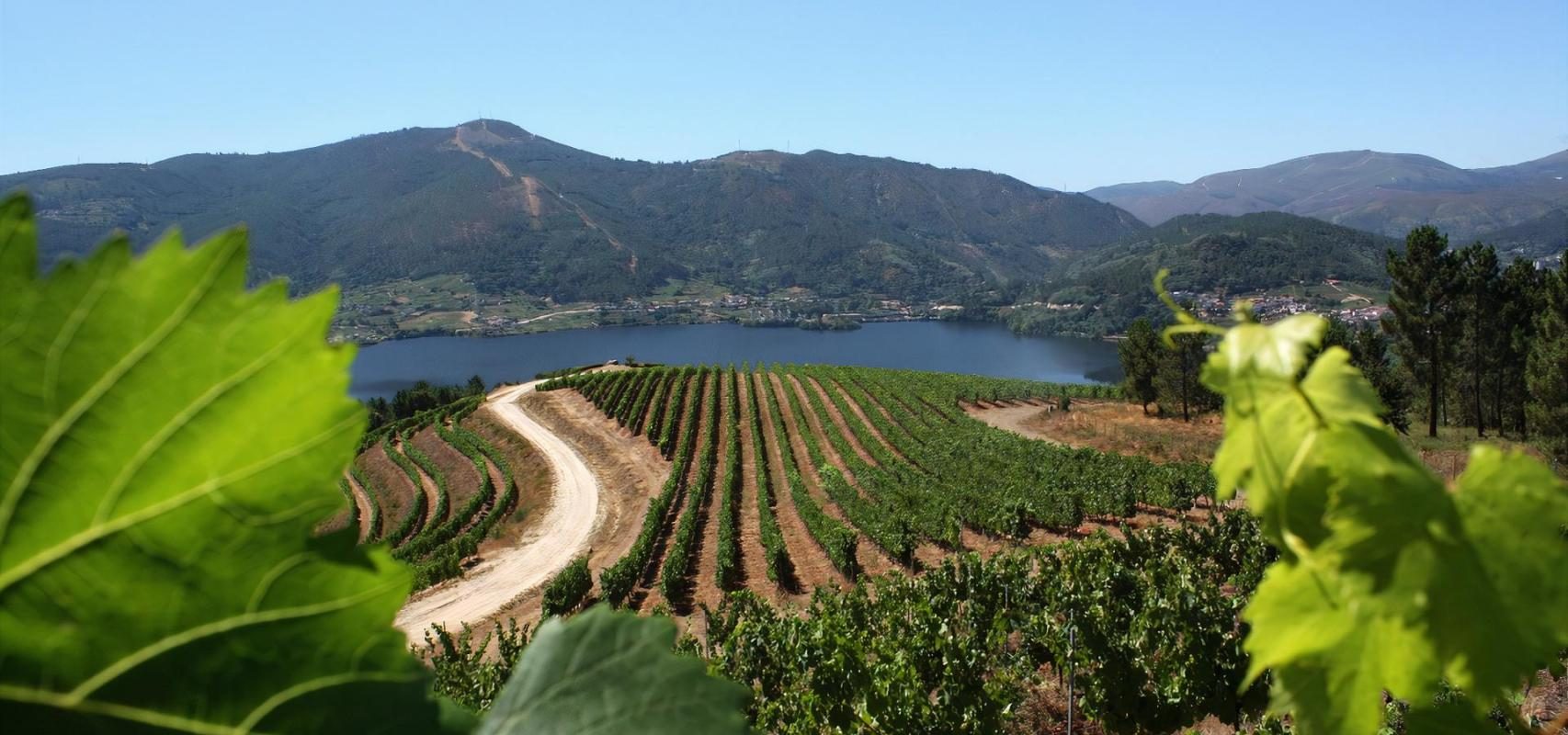 Comarca do Ribeiro